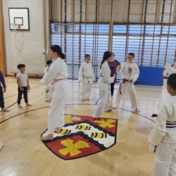 Black Panther School of Japanese Karate - Enfield classes Sjkkarate 2025