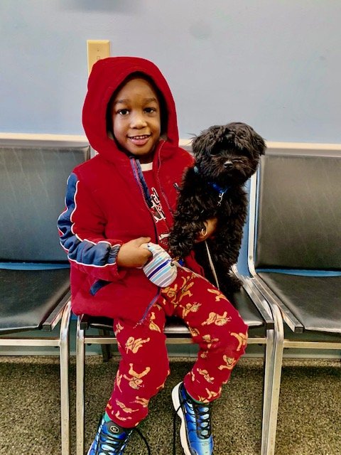 UCAN Nonprofit Spay & Neuter Clinic - social services organization in Cincinnati, OH