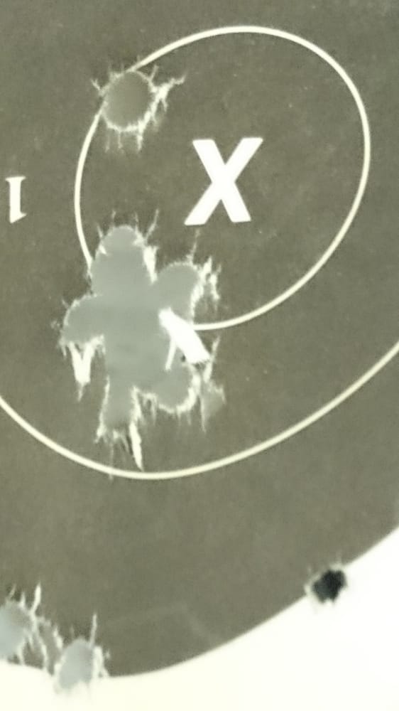 BROWN BEAR SPORTING GOODS Updated July 2024 30 Reviews 46853