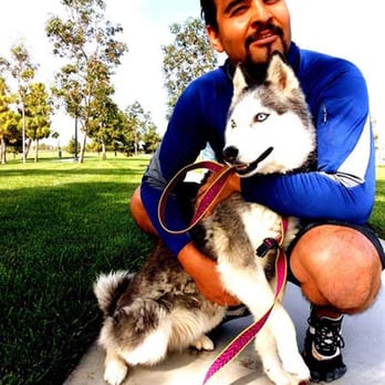 Manny's Pet Sitting Services - Uncle Manny with Natasha (one of the best running buddies) - Dog Walkers Near Me Manny's Pet Sitting Services - Uncle Manny with Natasha (one of the best running buddies) - Dog Walkers Near Me