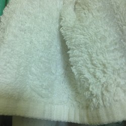 Alpine Lodge - Here's the crusty towel with pubes