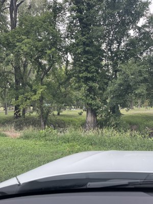 English Landing Park by null