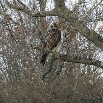 Ipswich River Wildlife Sanctuary - Parks Near Me - Topsfield, Massachusetts