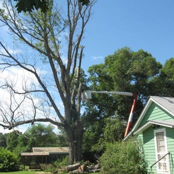 Charlie Pye Jr Tree Service - Tree Services Near Me Charlie Pye Jr Tree Service - Tree Services Near Me