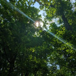 West Penn Trail