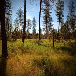 Dragoon Creek Campground