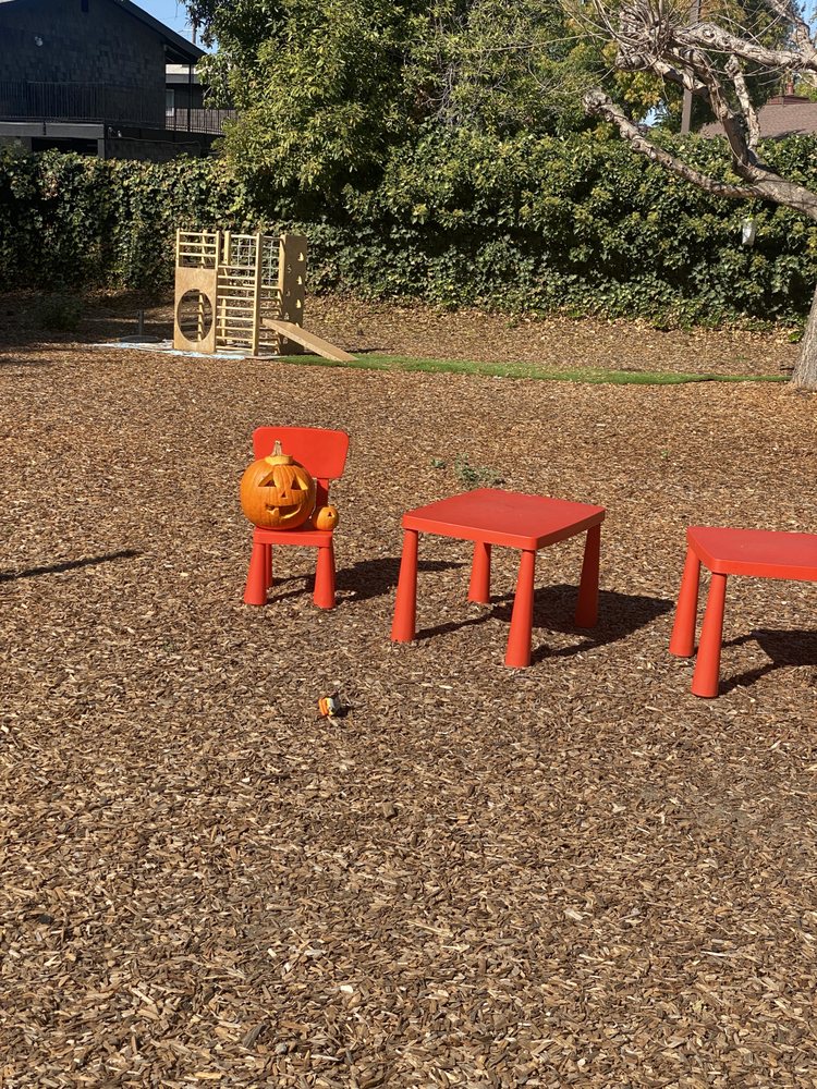 Sai's Seedlings - childcare center in Cotati, CA