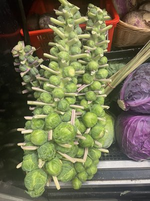 LINCOLN MARKET by null