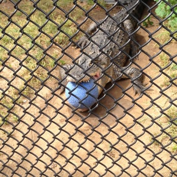 Wild Wonders - Zoos Near Me - Bonsall, California Wild Wonders - Zoos Near Me - Bonsall, California