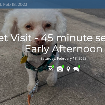 Fetch! Pet Care of Austin - It's so reassuring to see the pets out and about. - Pet Sitting Near Me