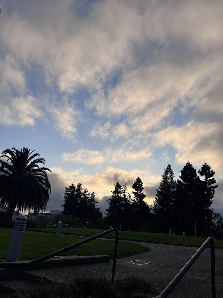 Patten Academy of Christian Education - childcare center in Oakland, CA