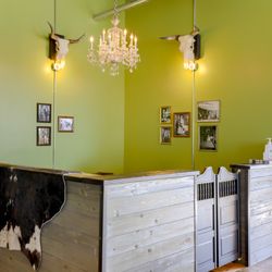 Chartreuse Saloon