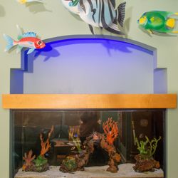Raleigh Pediatric Dentistry