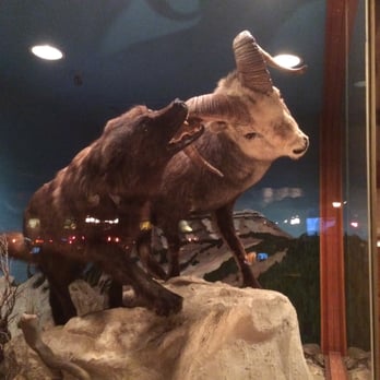 Million Dollar Cowboy Bar - Bars Near Me - Jackson, Wyoming