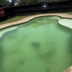 Cain Pool & Spa - After the first shock and cleaning, the same grass piles.