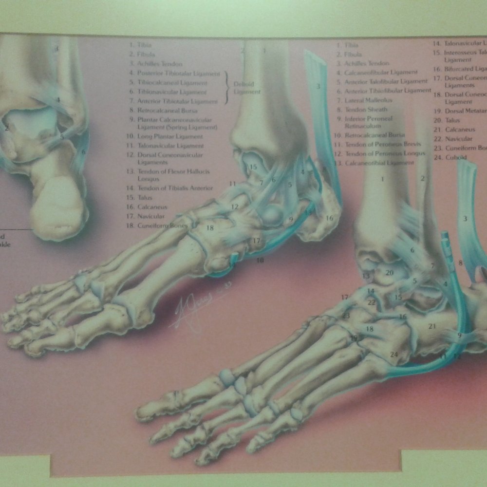 TOP 10 BEST Podiatrists in Vallejo, CA - Updated 2026 - Yelp