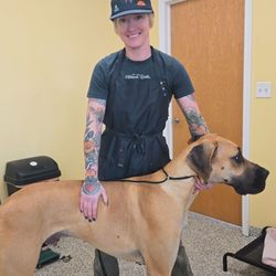 Shear Paradise Pet Salon & Spa