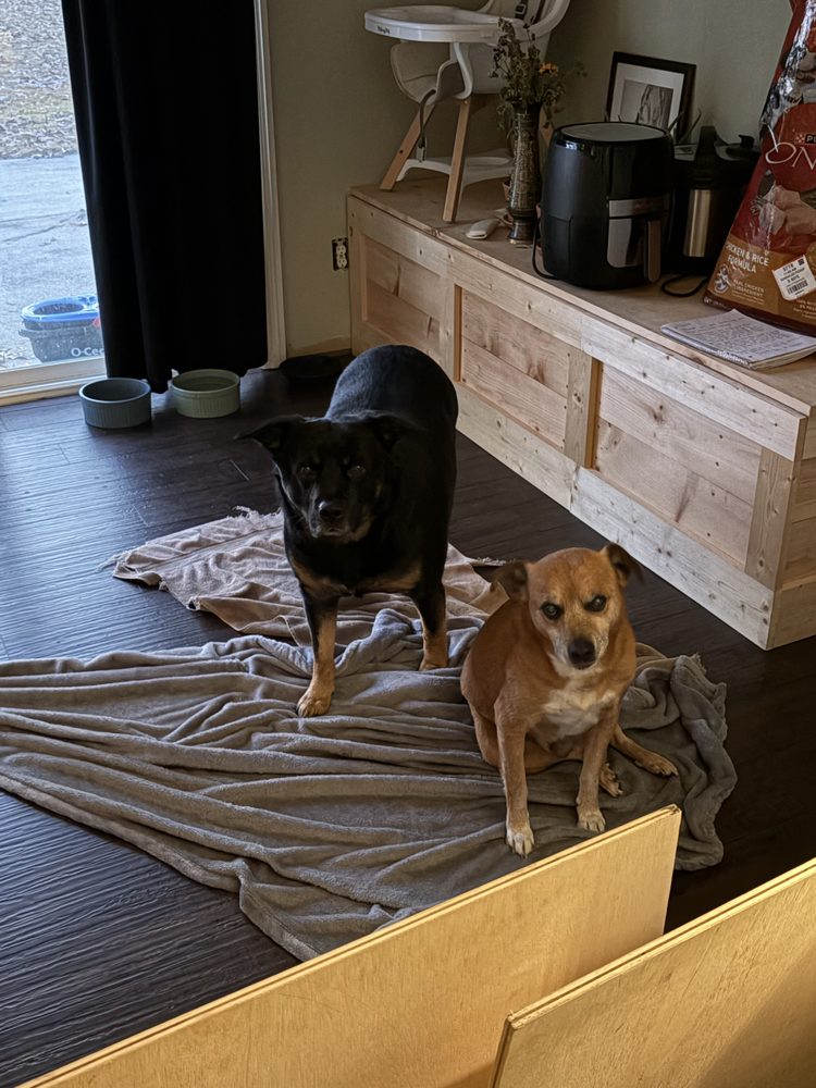 April and Pets - pet boarding facility in Guyton, GA