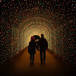 Legacy Lakes - Tunnel of lights