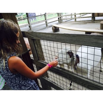 Queens Zoo - Petting zoo - Zoos Near Me - Corona, New York