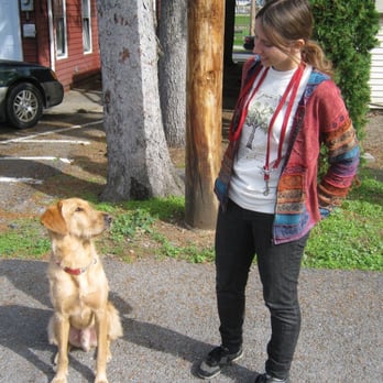 Positive Dogma - Dog Walkers Near Me Positive Dogma - Dog Walkers Near Me