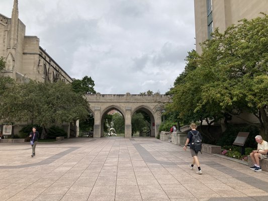 Boston University by null