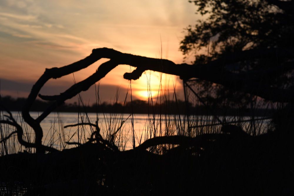 Dames Point Park Image