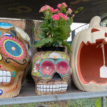 Dutch Flowers - Seasonal pottery - Florists Near Me - Kansas City, Missouri Dutch Flowers - Seasonal pottery - Florists Near Me - Kansas City, Missouri