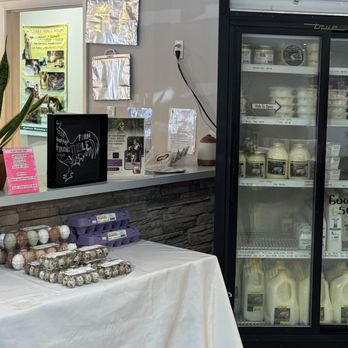 My Paleo Pet - Our raw dairy section - Pet Stores Near Me - Pompano Beach, Florida My Paleo Pet - Our raw dairy section - Pet Stores Near Me - Pompano Beach, Florida