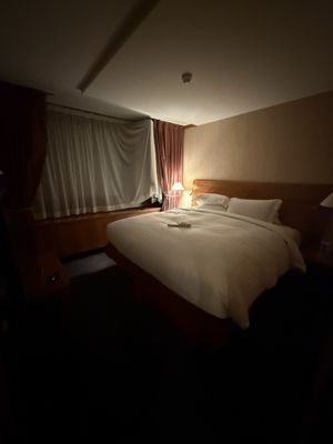 Sofitel Lyon Bellecour by null