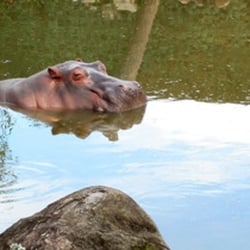 Zoo Pomerode