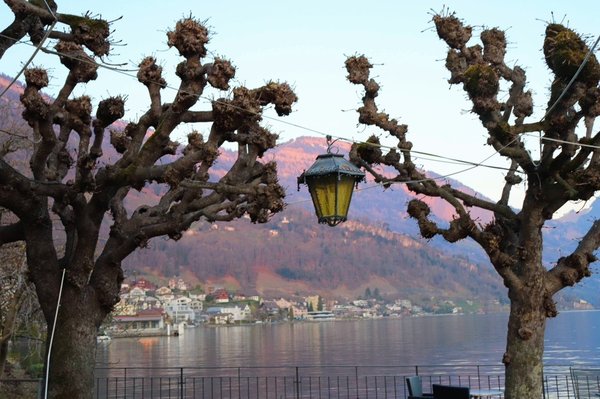 Hotel Central am See by null