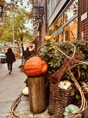 John Derian Company Inc by null