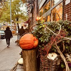 John Derian - Exterior decor