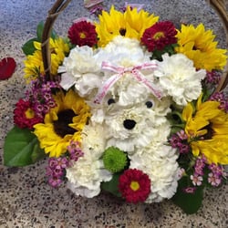 Puppy dog arrangement of flowers.  Best place in rockwall for flowers.