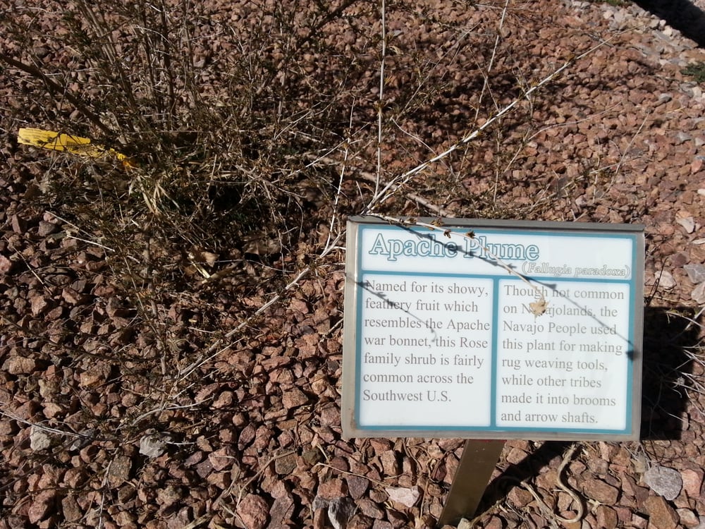 NAVAJO NATION ZOO AND BOTANICAL PARK Updated August 2024 46 Photos