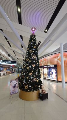 Sydney Airport by null