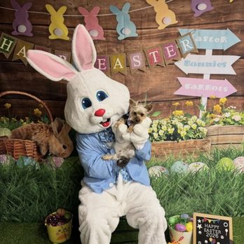 Wagging Tails - Meetings the Easter Bunny - Pet Stores Near Me - Forest Hills, New York Wagging Tails - Meetings the Easter Bunny - Pet Stores Near Me - Forest Hills, New York