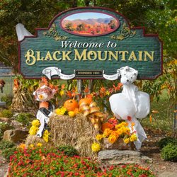 The Monte Vista Hotel - Black Mountain Sign