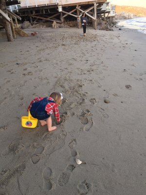 Malibu Beach Paradise Apartments by null