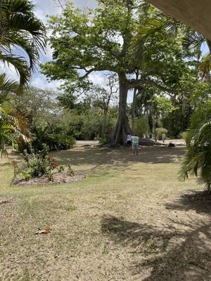 St George Village Botanical Gardens by null