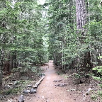 Mount Rainier National Park - Beautiful - Parks Near Me - Ashford, Washington Mount Rainier National Park - Beautiful - Parks Near Me - Ashford, Washington