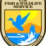 Photo of US Fish And Wildlife Service