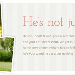 Le Pouf Luxury Pet Care - Our Perspective
