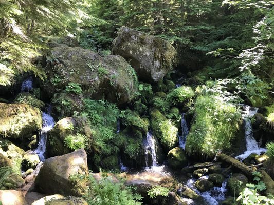 Watson Falls by null
