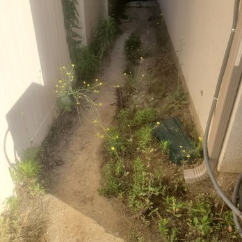 Pedro Lopez & Sons Maintenance & Landscaping - Before - Landscaping Near Me - Oxnard, California Pedro Lopez & Sons Maintenance & Landscaping - Before - Landscaping Near Me - Oxnard, California