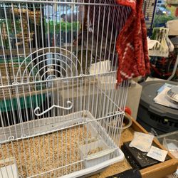 Red Hill Pet Center - Finches in a tiny cage, bought form some breeder to be sold like objects. Birds should be free - not in cages as "pets"