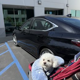 Exterior outside entrance of Veterinary Neurology Center - The big day: arriving for surgery! - Tustin, California Exterior outside entrance of Veterinary Neurology Center - The big day: arriving for surgery! - Tustin, California