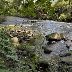 Countryside Cottages - Creek behind Woodbrook