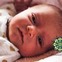 Photo of Maternal Bloom